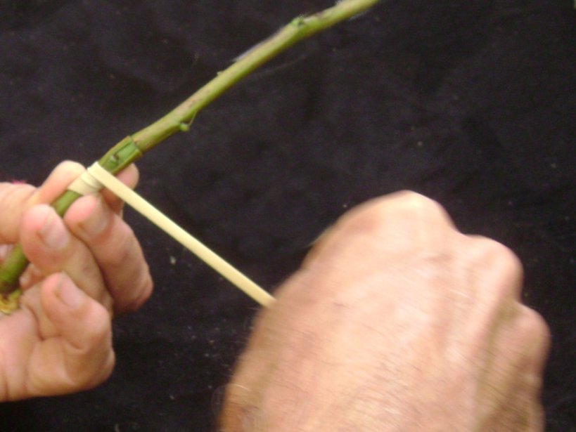 rubber band showing wrapping technique